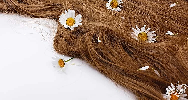 بهترین مواد بی خطر و سنتی برای رنگ کردن موهای شما بهترین مواد بی خطر و سنتی برای رنگ کردن موهای شما